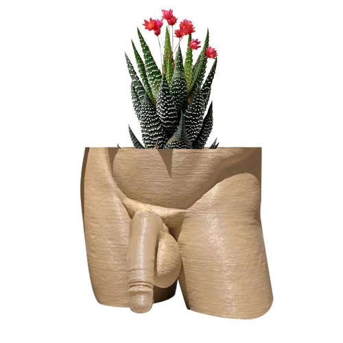 Resin Plant Pot Decor Sexy Men Naked Butt Flower Growing Pot Desktop