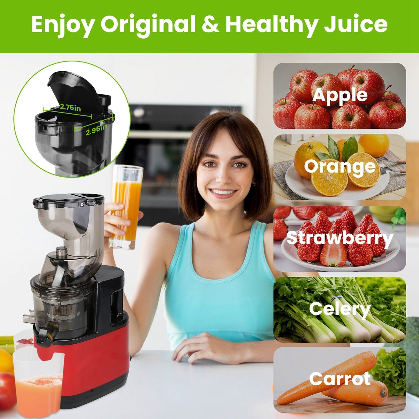 1Pc Cold Press Juicer Machine 300W Electric Slow Masticating Juicer
