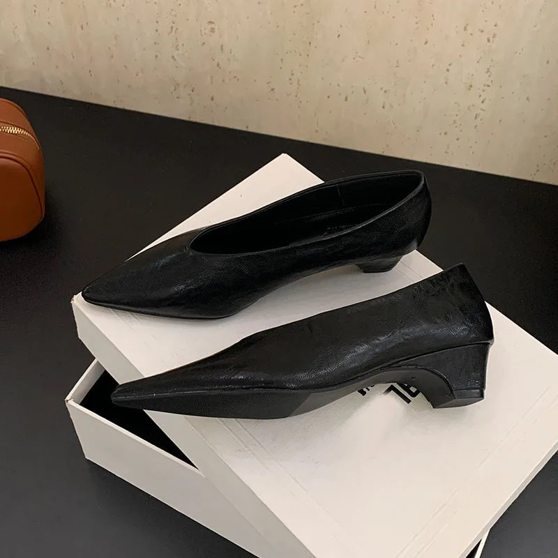 Pointed Toe Footwear Slip On Pumps Women Heeled Shoes Casual Female Fashion Shallow Ladies Low Heel Shoes 2025 New