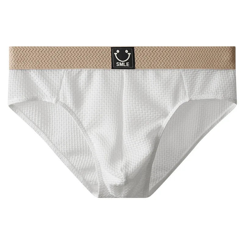 Men Ice Silk Underwear Bulge Pouch Briefs Man Sexy Panties Breathable Underpants Soft Lingerie Male Comfortable Knickers