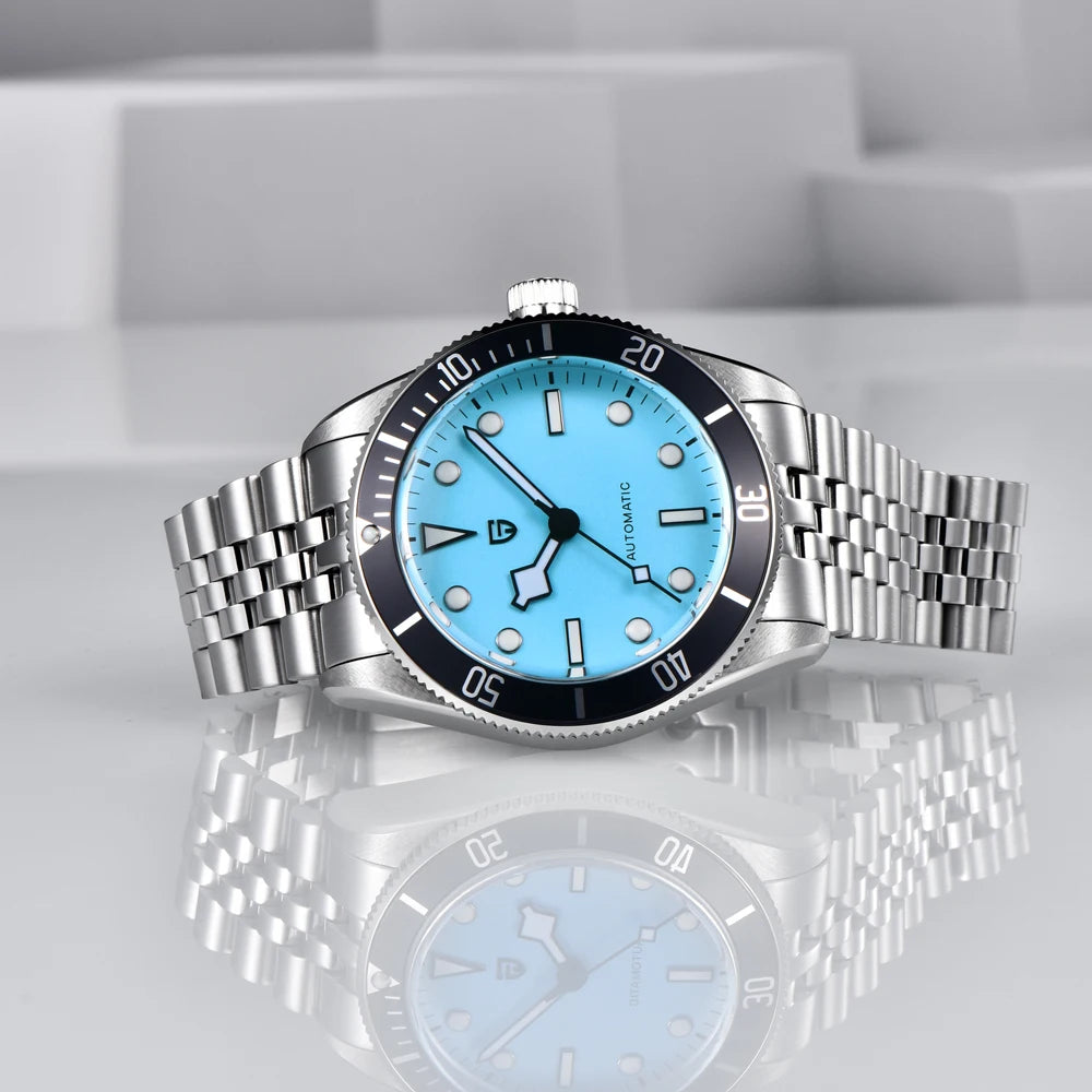 PAGANI DESIGN Luxury Men's Watch 2025 New Mechanical Wristwatch Sapphire Mirror Clock With BOX Fashion Luminous Automatic Watch