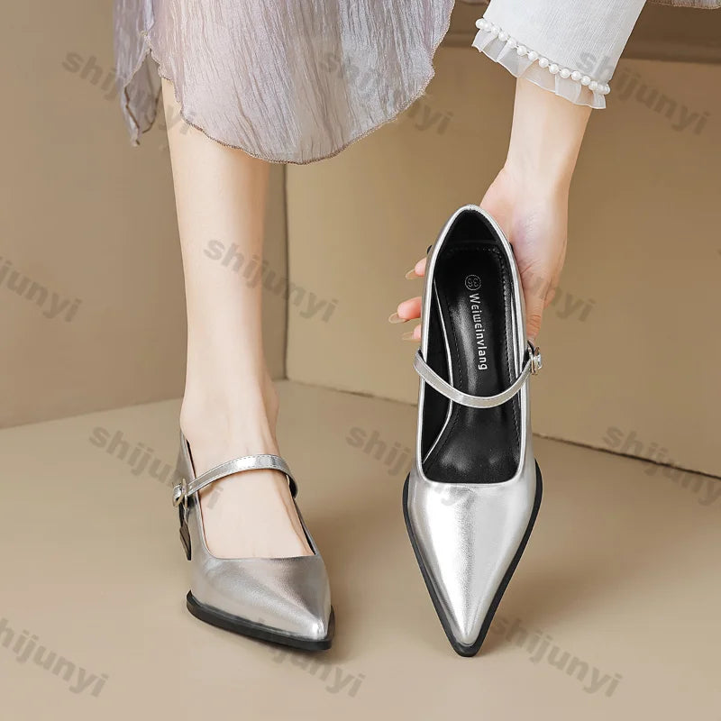 Women Chunky Heel Silver Mary Jane Shoes Spring New Women Pointed Toe Single Shoes Fashion Shallow Thick Heel Wedding Party Shoe