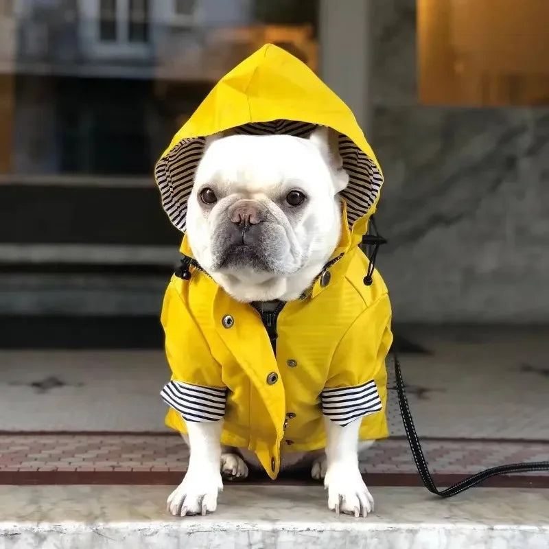 For Fashion Raincoat For Dogs Waterproof Raincoat Jacket Coat Windproof For Small Medium Large Dogs Pet Fashion Clothes