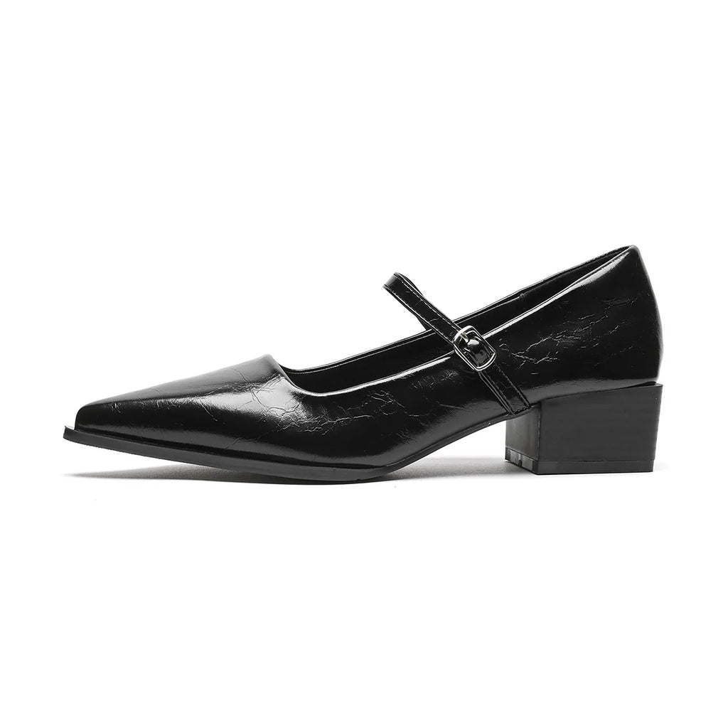 Women Chunky Heel Silver Mary Jane Shoes Spring New Women Pointed Toe Single Shoes Fashion Shallow Thick Heel Wedding Party Shoe