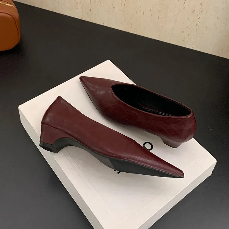 2025 New Fashion Shallow Ladies Low Heel Pumps Shoes Luxury Female Pointed Toe Footwear Slip On Women Heeled Shoes