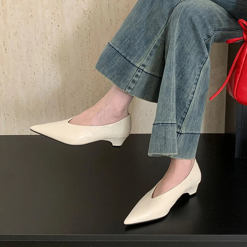 Pointed Toe Footwear Slip On Pumps Women Heeled Shoes Casual Female Fashion Shallow Ladies Low Heel Shoes 2025 New