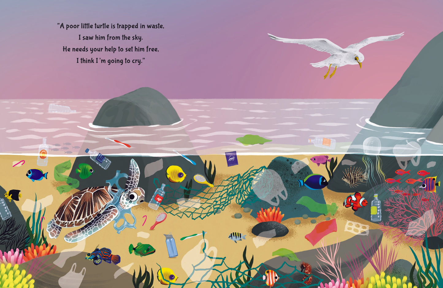 Childrens Book - Sea Turtles, Oceans and Climate Change