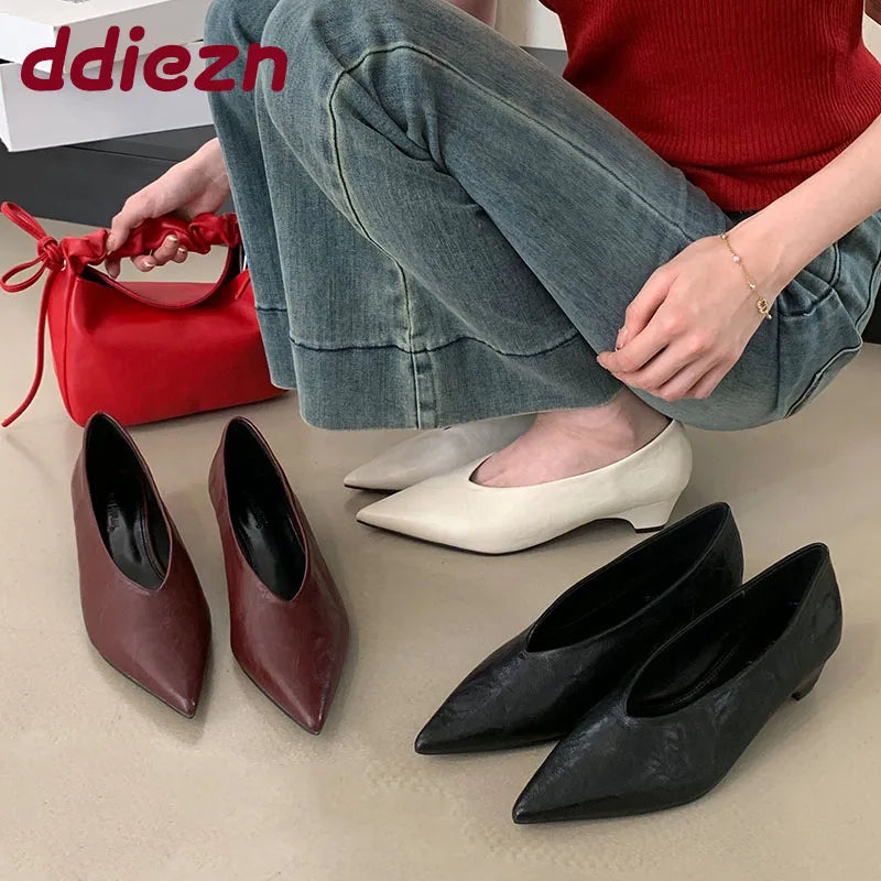 Pointed Toe Footwear Slip On Pumps Women Heeled Shoes Casual Female Fashion Shallow Ladies Low Heel Shoes 2025 New
