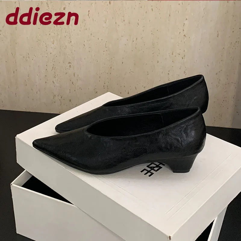 2025 New Fashion Shallow Ladies Low Heel Pumps Shoes Luxury Female Pointed Toe Footwear Slip On Women Heeled Shoes