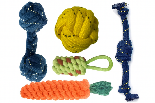Dumbbell Carrot Toffee Rope Chew Toy for Dogs Set