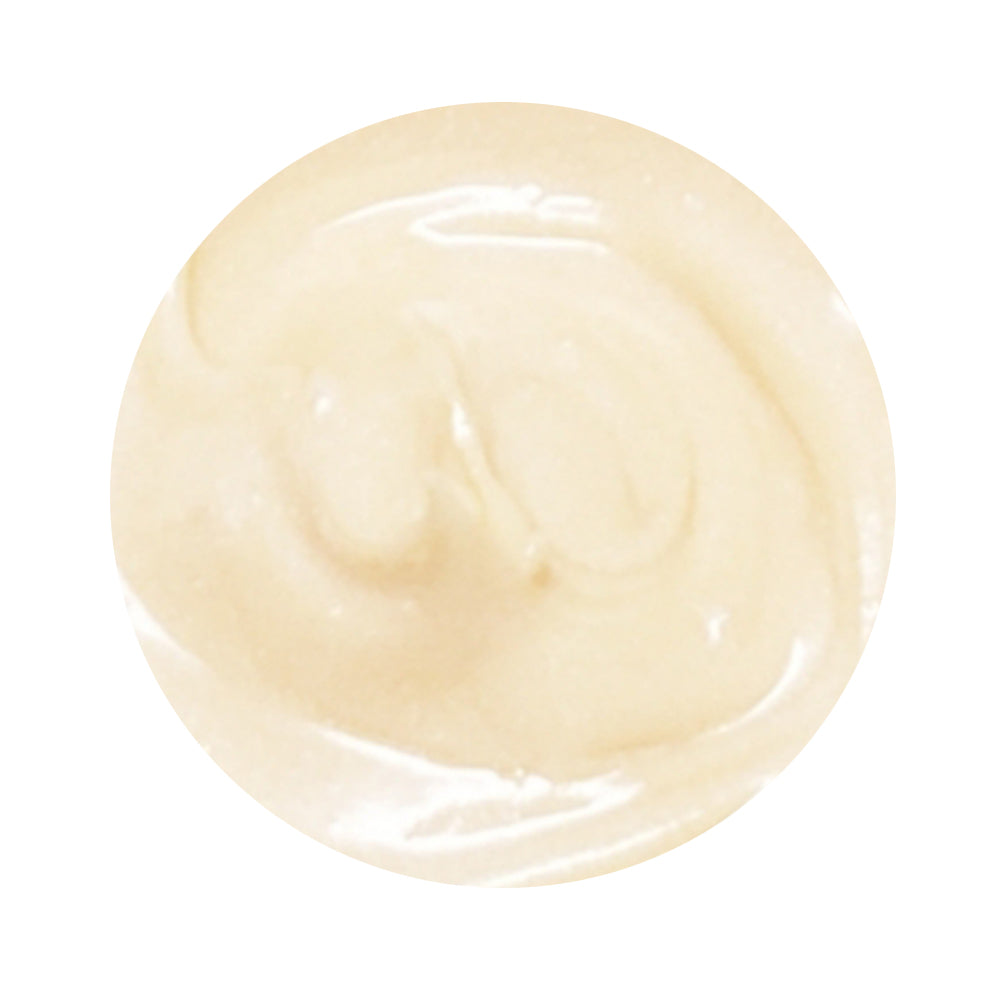 LIP WHIP PLUMP YOU UP!