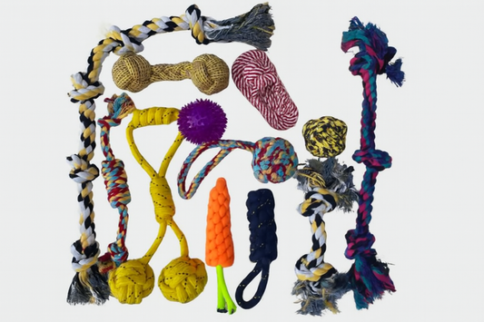 12 in 1 Interactive Dog Toy Set Cotton Rubber Squeaky