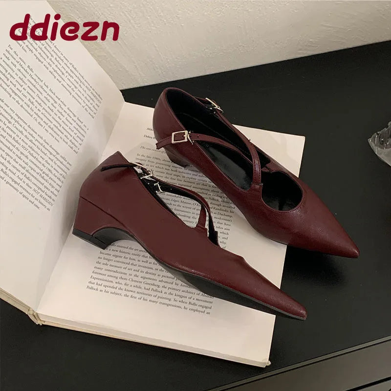 2025 New Fashion Buckle Strap Pumps Women Low Heel Shoes Female Shallow Footwear Pointed Toe Ladies Mary Janes Heeled Shoes