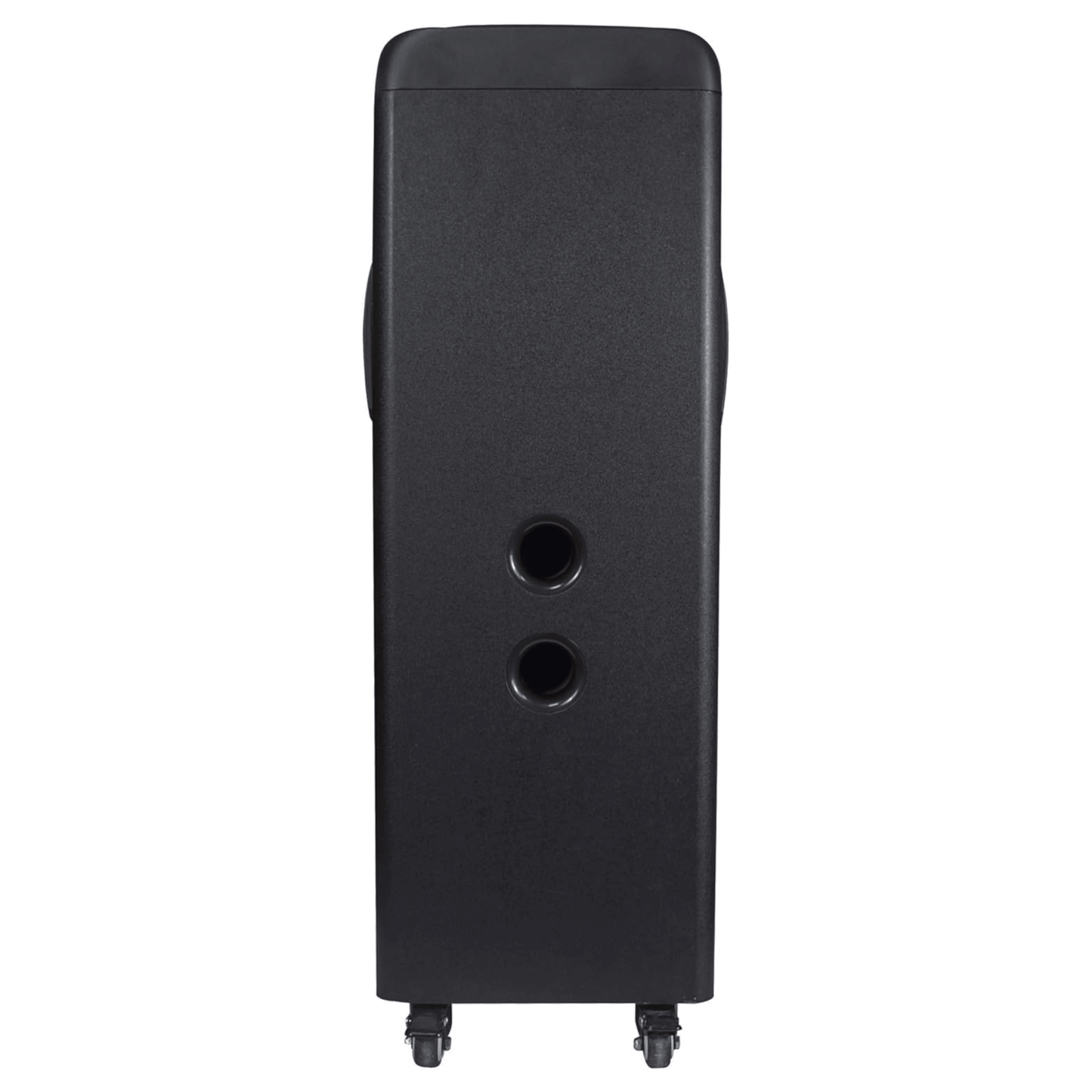 IQ Sound TorusFLEX 2x10-Inch Portable Bluetooth DJ Speaker