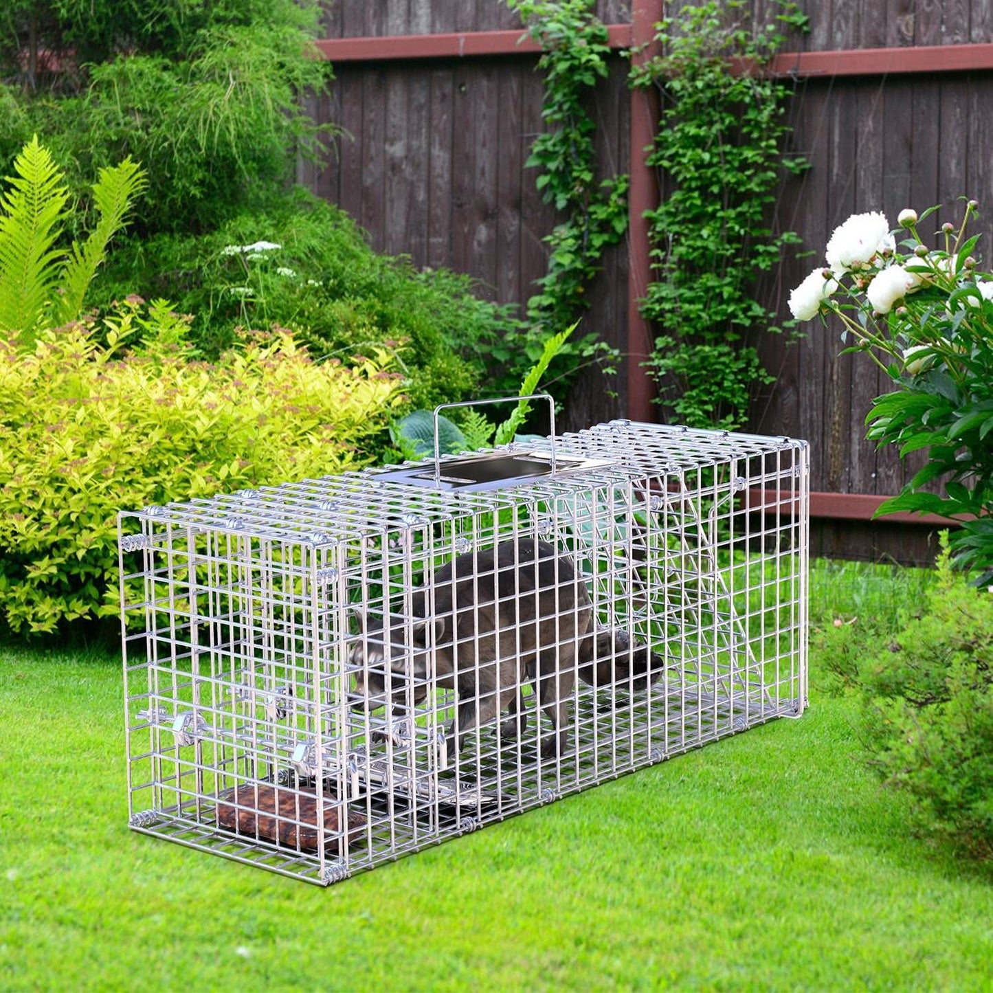 25.59Inch Live Humane Animal Trap Cage Heavy Duty Folding Catch And