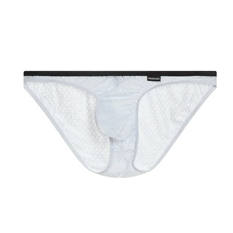 Men Underwear Sexy Men Mesh Briefs Underpants Breathable Soft Male Panties Cuecas Calzoncillos U Pouch Men's Lingerie Jockstrap