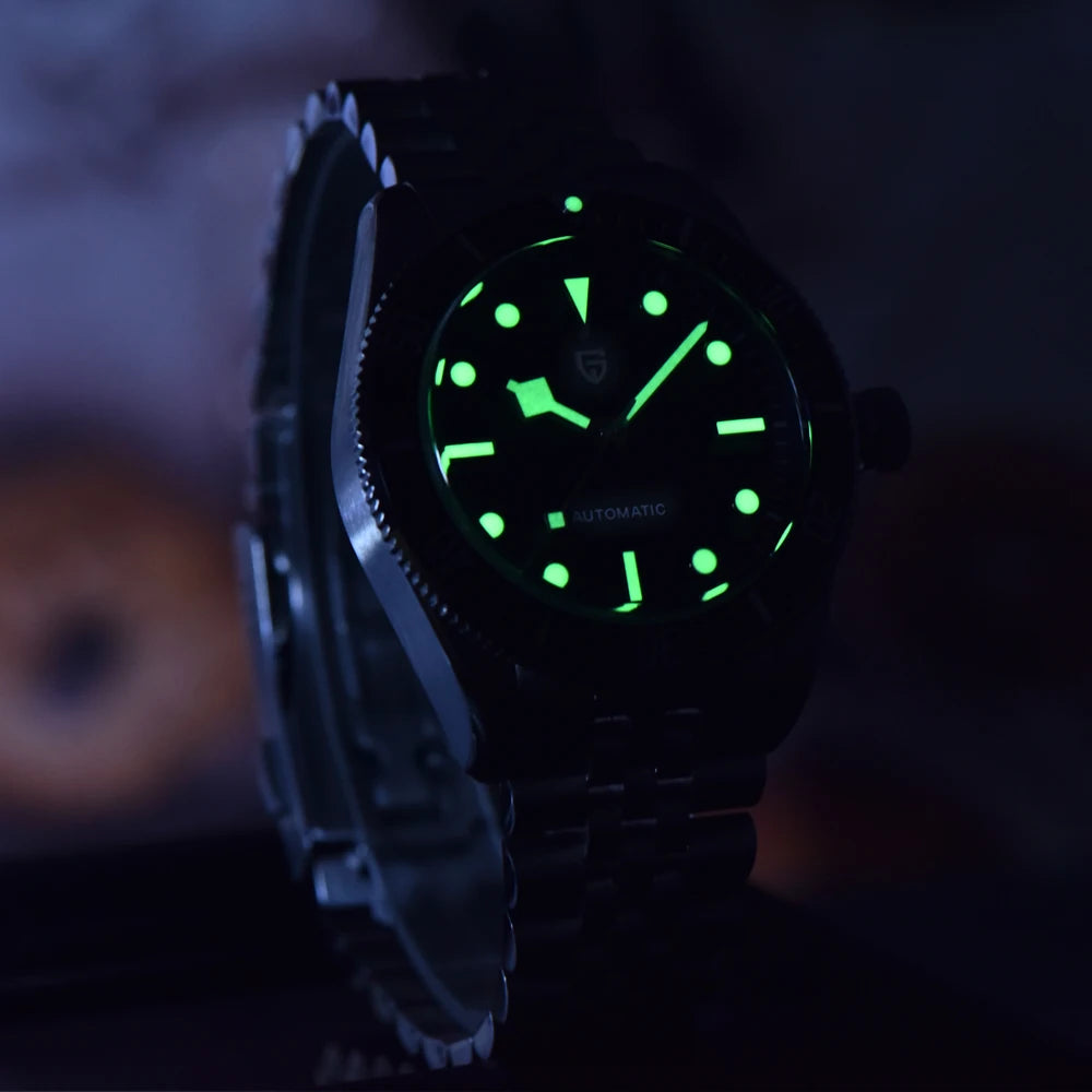 PAGANI DESIGN Luxury Men's Watch 2025 New Mechanical Wristwatch Sapphire Mirror Clock With BOX Fashion Luminous Automatic Watch