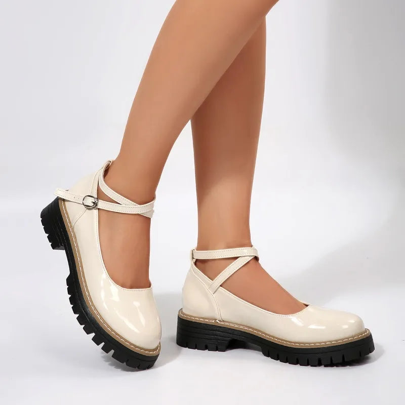 2025 NEW High quality simple and stylish Spring Autumn Round Toe Thick Heel Women's Shoes Small Leather Shoes for Women