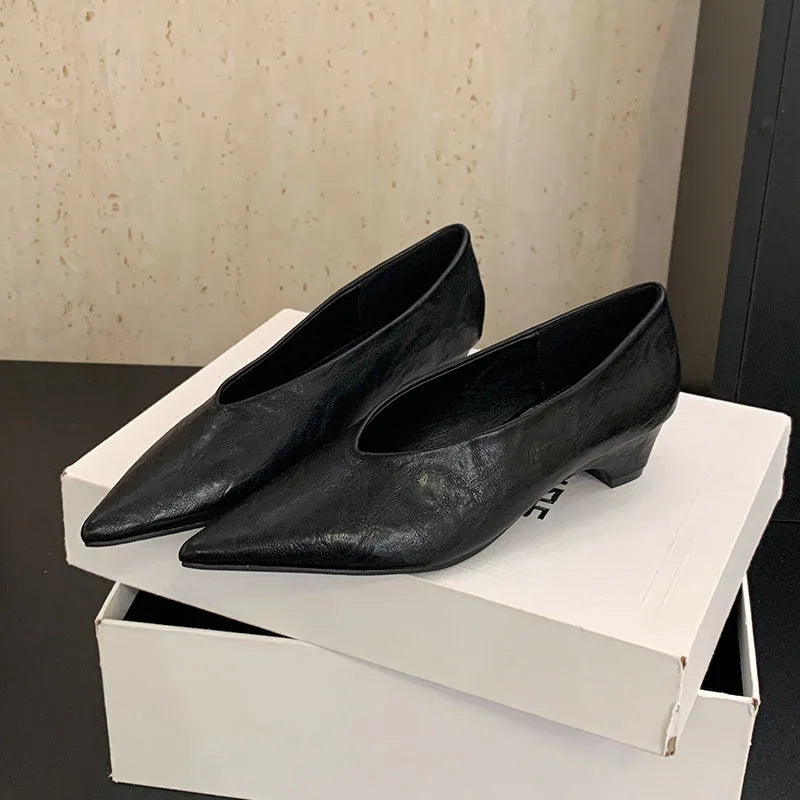 2025 New Fashion Shallow Ladies Low Heel Pumps Shoes Luxury Female Pointed Toe Footwear Slip On Women Heeled Shoes