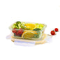 BPA Free Lunch Box with Secure Lock