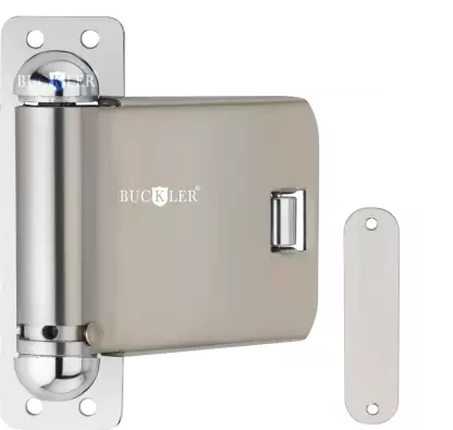 BUCKLER Door Concealed Door Closer