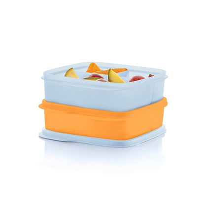 Easy Carry Lunch Box with Handle