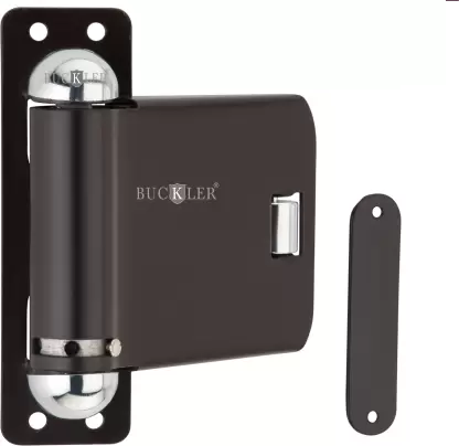BUCKLER Door Concealed Door Closer