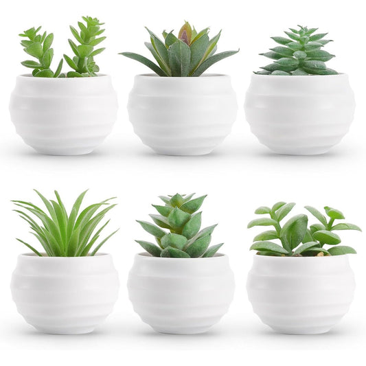 Mini Succulent Artificial Plants Set of 6