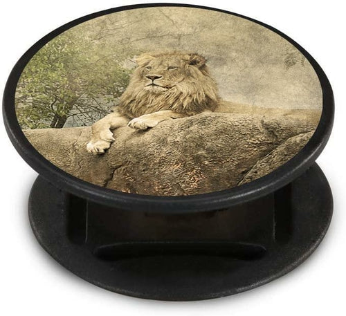 Textured Lion Nuckees