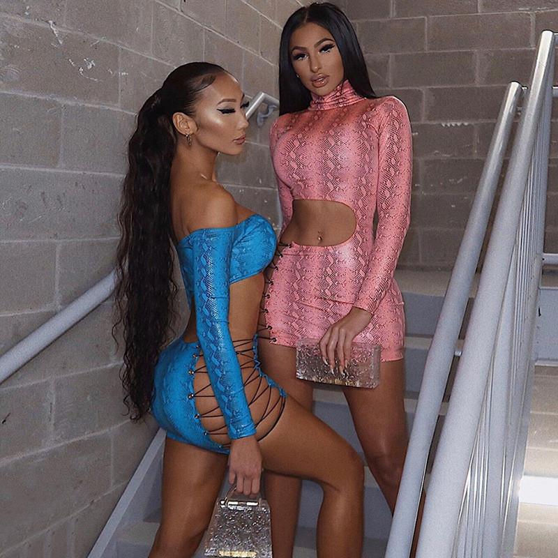 Print Sexy Skinny Mini Dress Women Bandage Mock Neck Long Sleeve