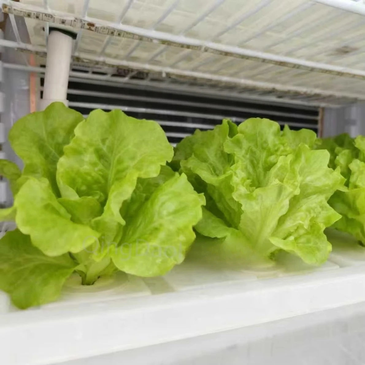 HEZHOU HZ-3 Indoor Hydroponic Multi-Layer Smart Automatic Vertical Farming Planting Cabinet PLC Control | Vegetable Growing