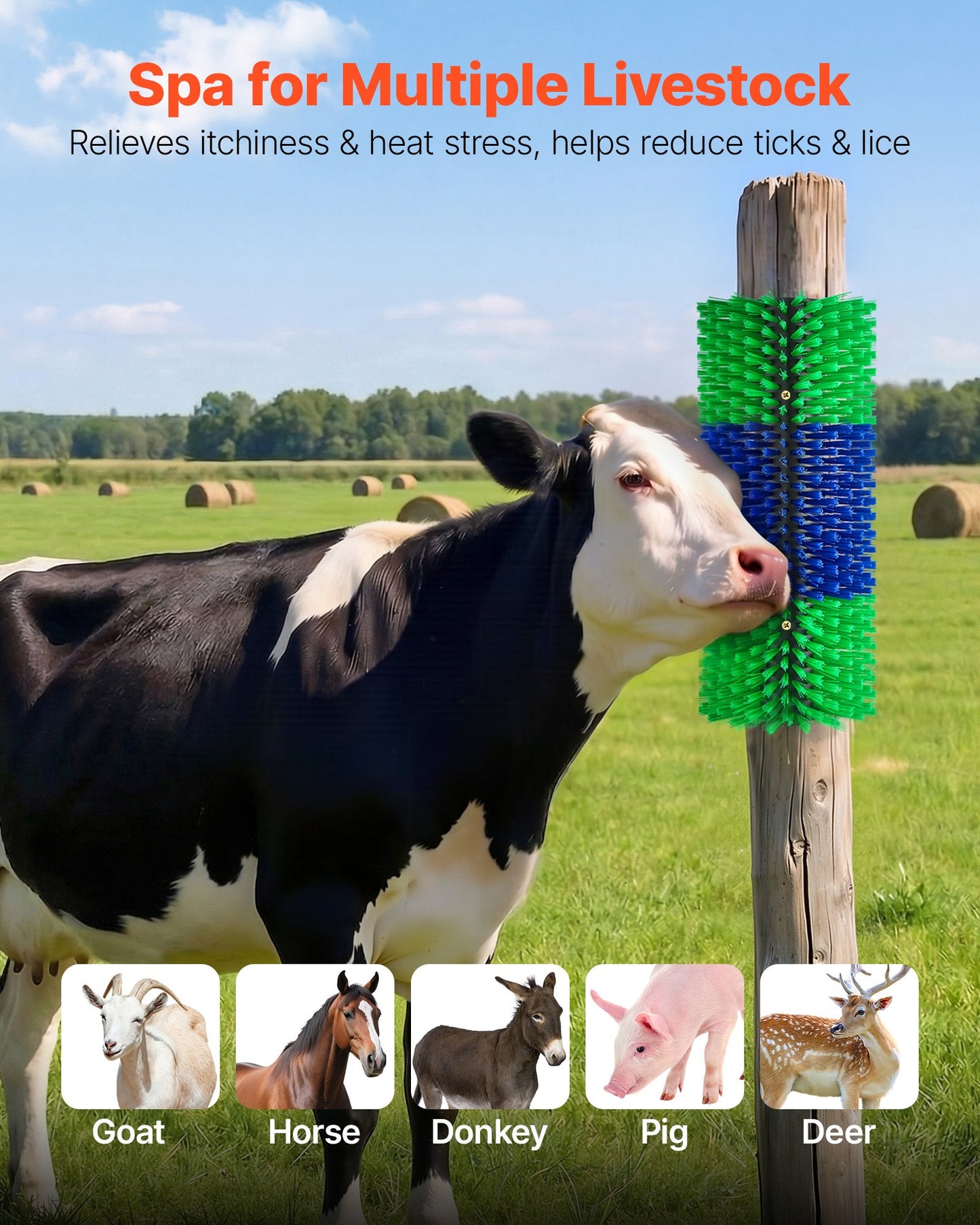 Livestock Scratching Brush, 1PC Goat Scratcher Brush Post with 4